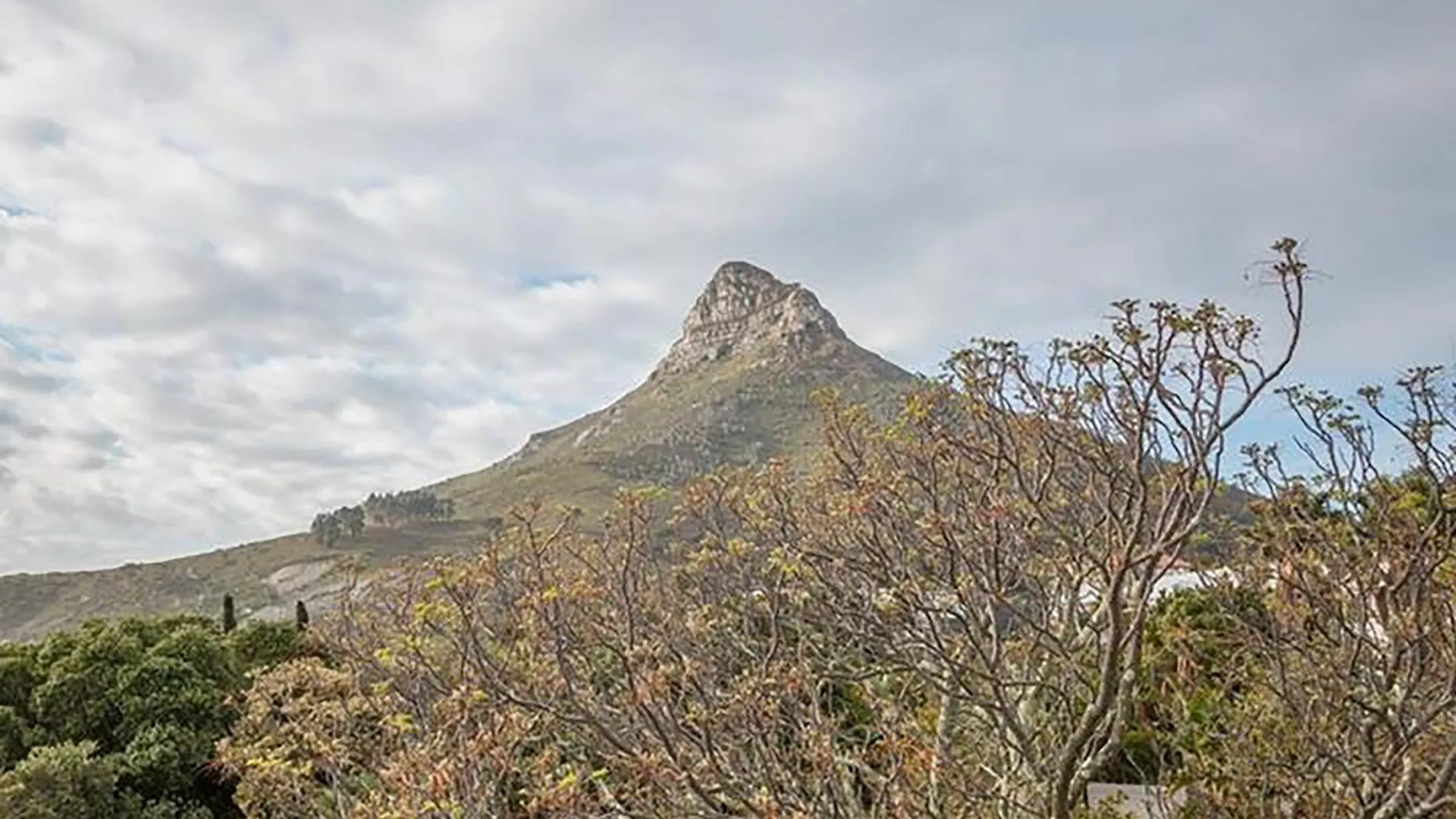 2 On Medburn Apartment Cape Town
